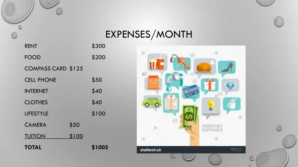 expenses month