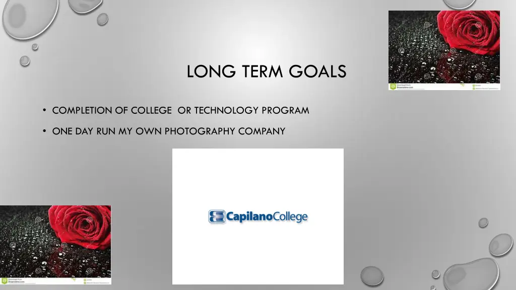 long term goals
