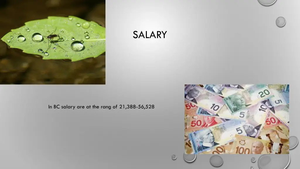 salary