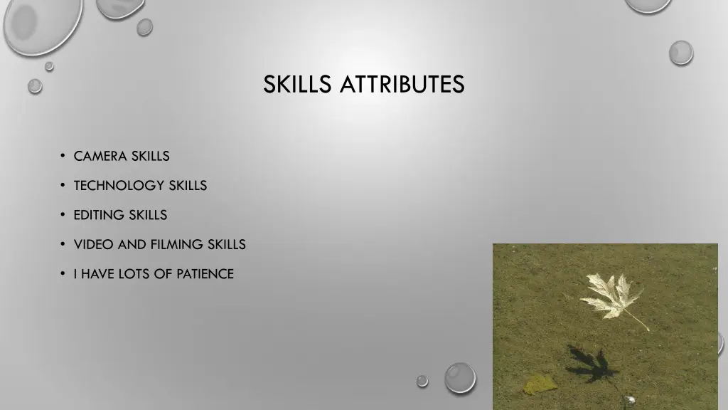 skills attributes