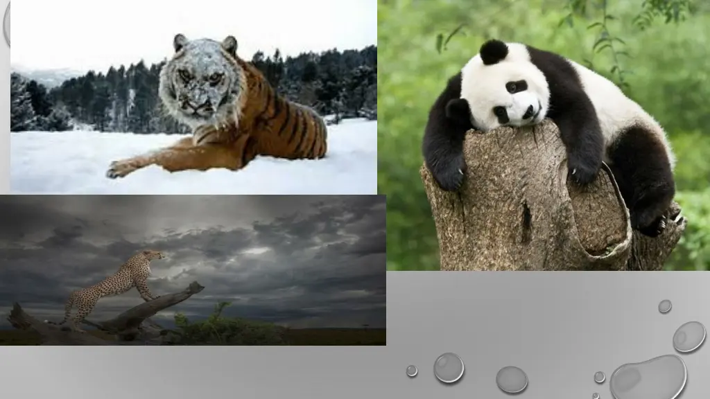 slide2