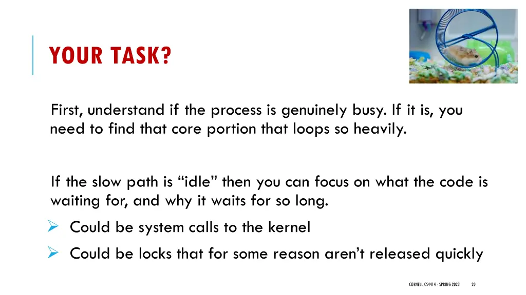 your task
