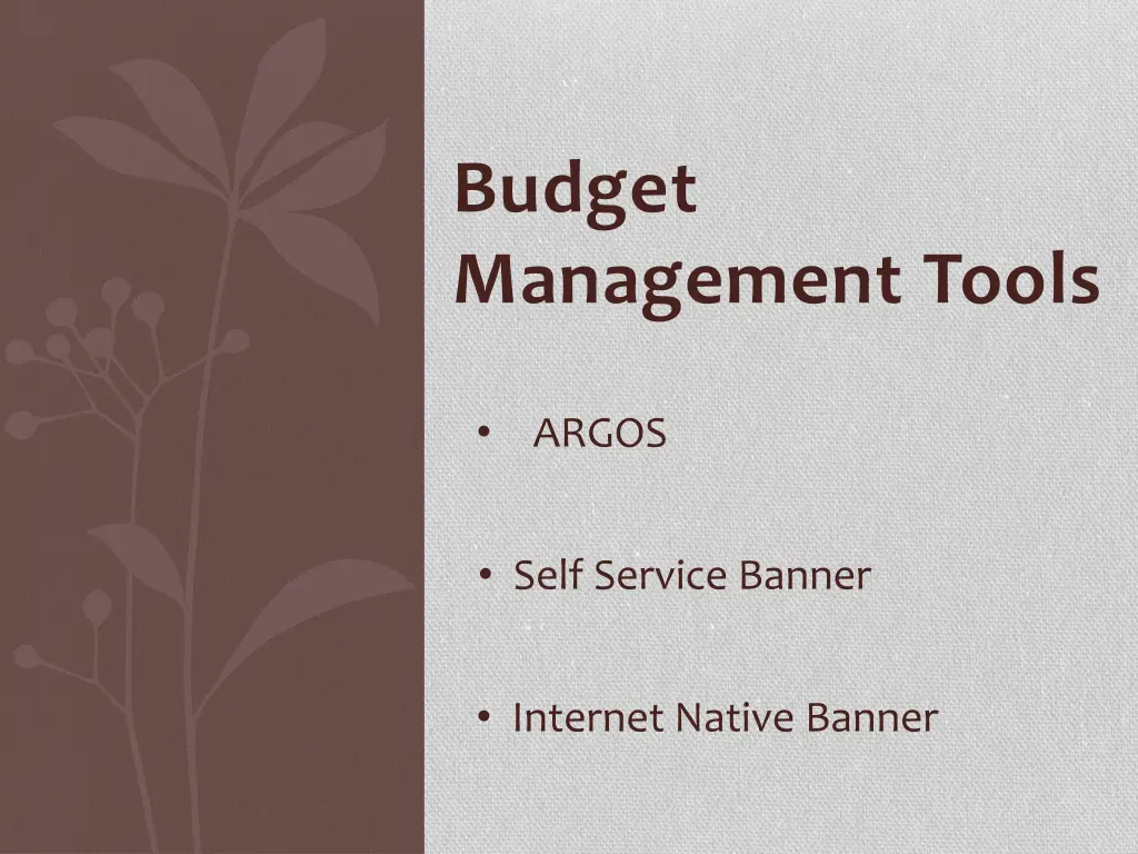 budget management tools