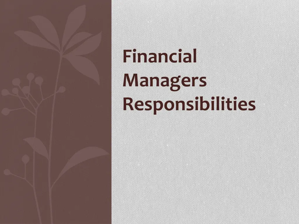 financial managers responsibilities