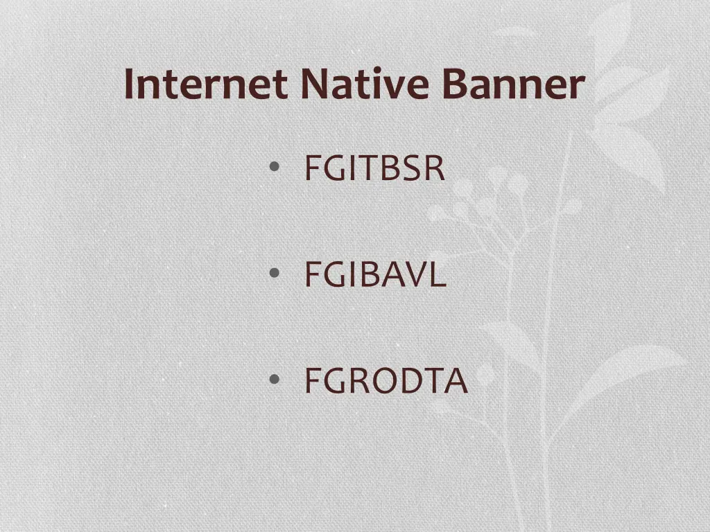 internet native banner