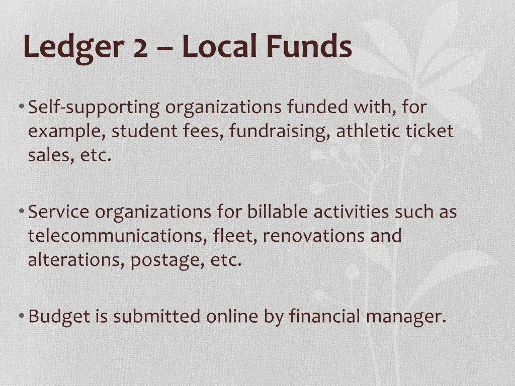 ledger 2 local funds