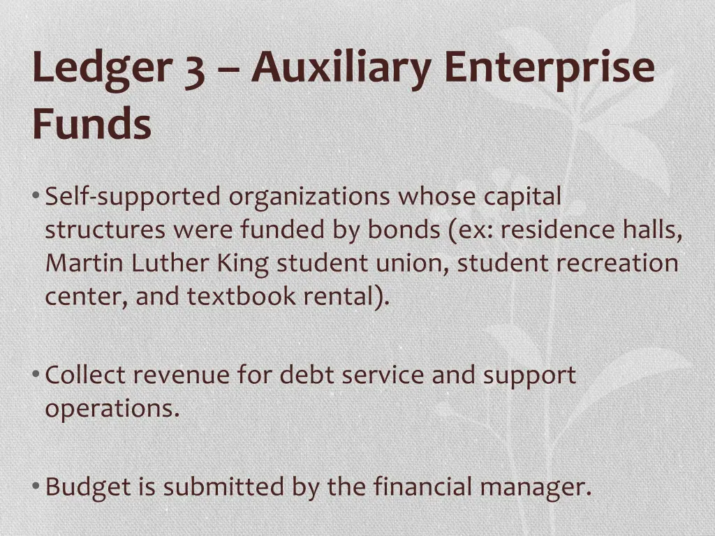 ledger 3 auxiliary enterprise funds