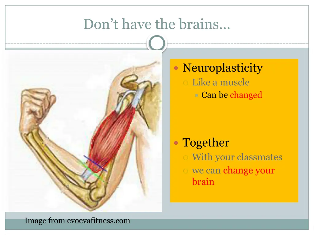 don t have the brains 1