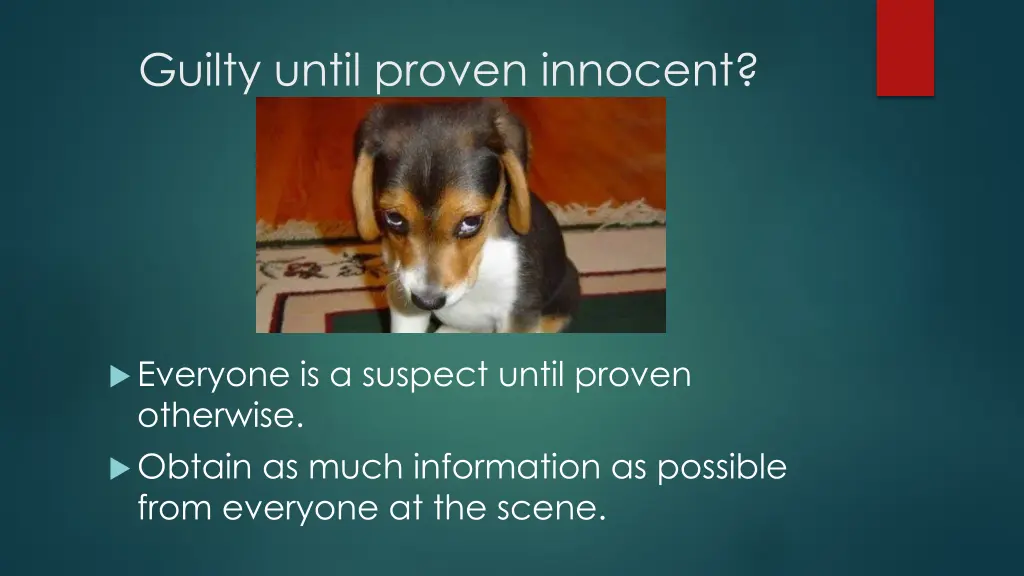 guilty until proven innocent