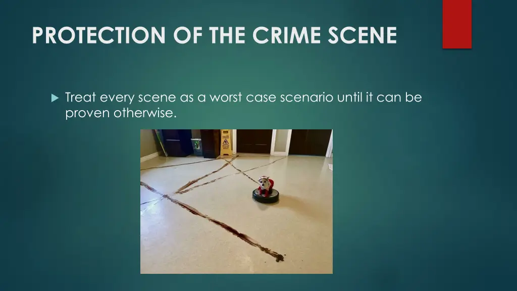 protection of the crime scene
