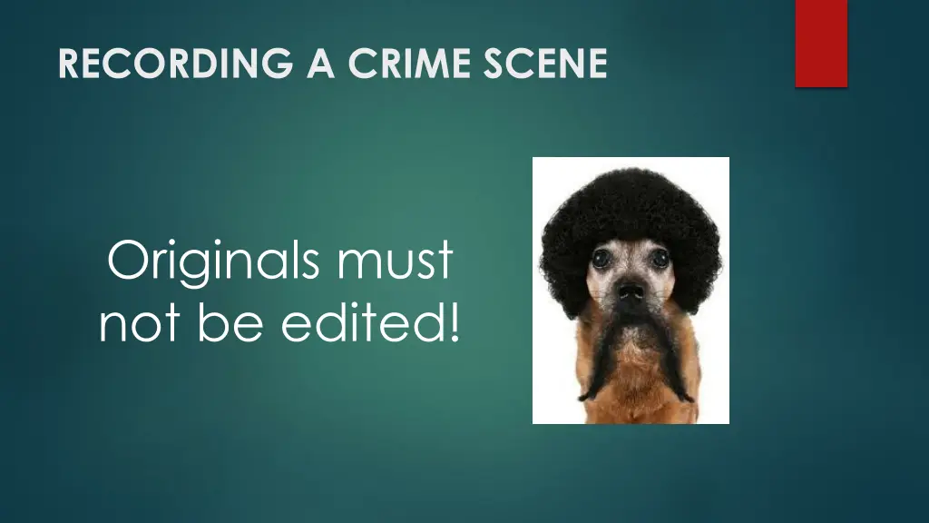 recording a crime scene 11