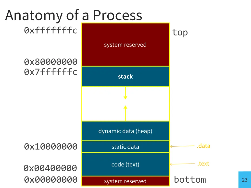 anatomy of a process 0xfffffffc