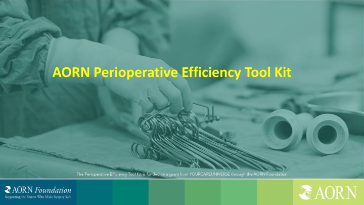 aorn perioperative efficiency tool kit