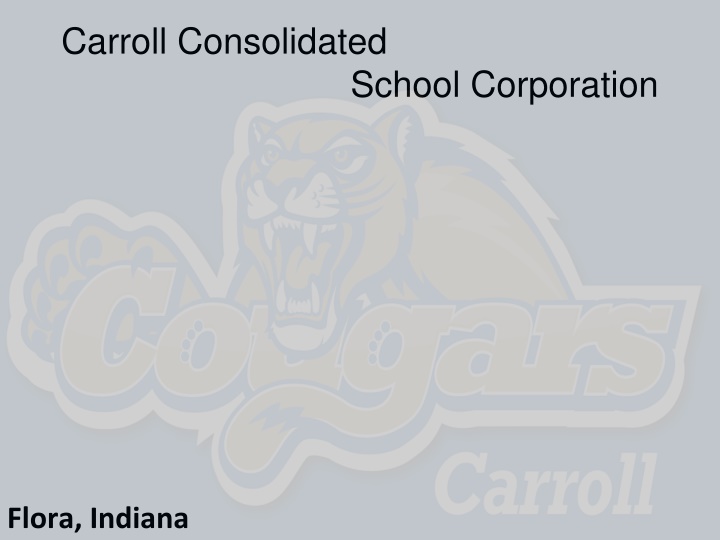 carroll consolidated