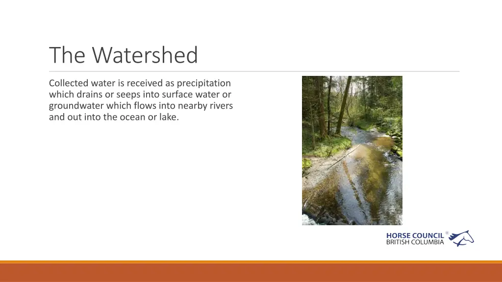 the watershed 1