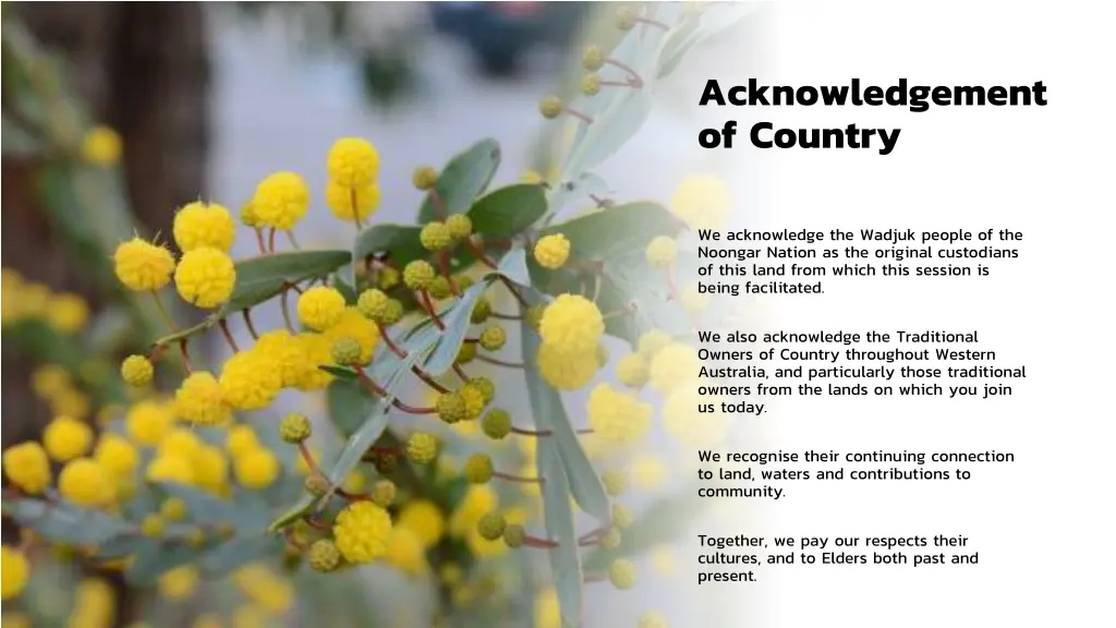 acknowledgement of country