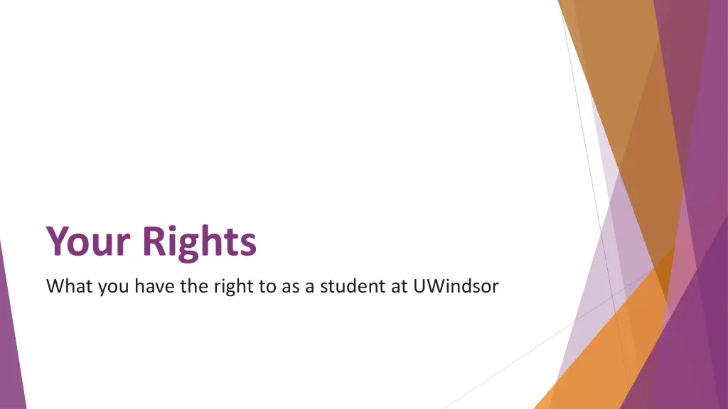 your rights what you have the right