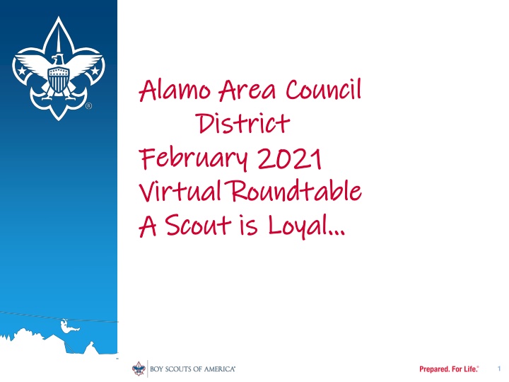 alamo area council alamo area council district