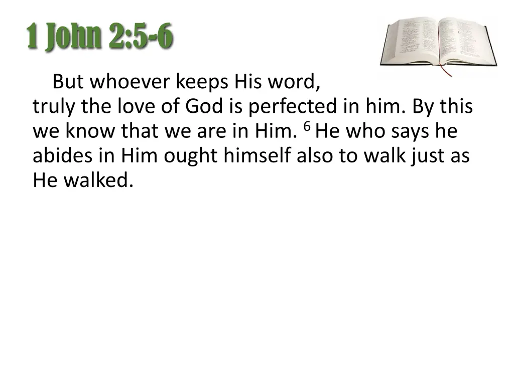 1 john 2 5 6