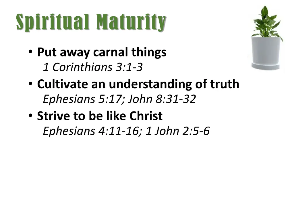 spiritual maturity 2