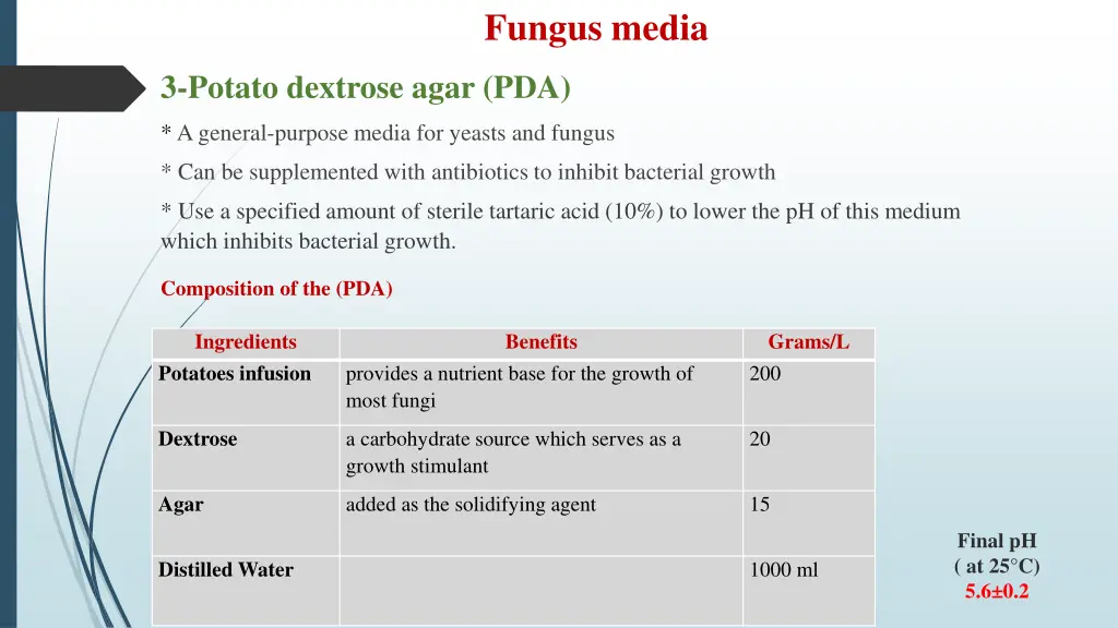 fungus media 2
