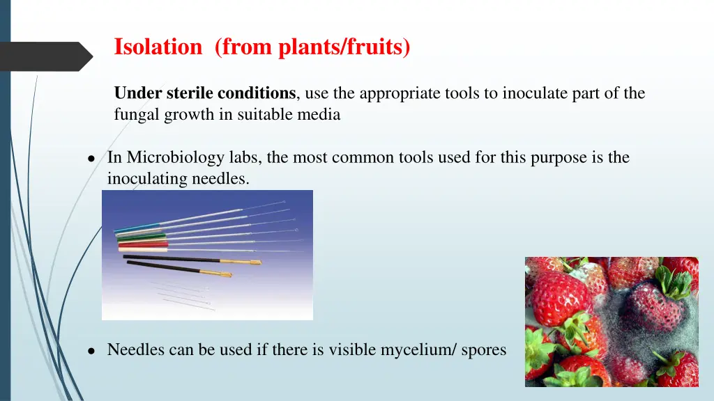 isolation from plants fruits