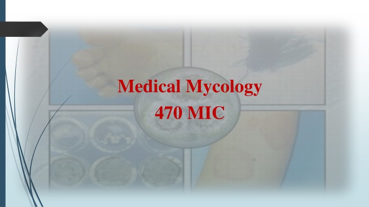 medical mycology 470 mic