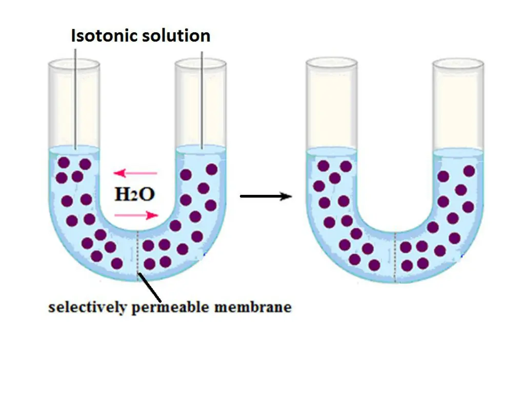 slide10