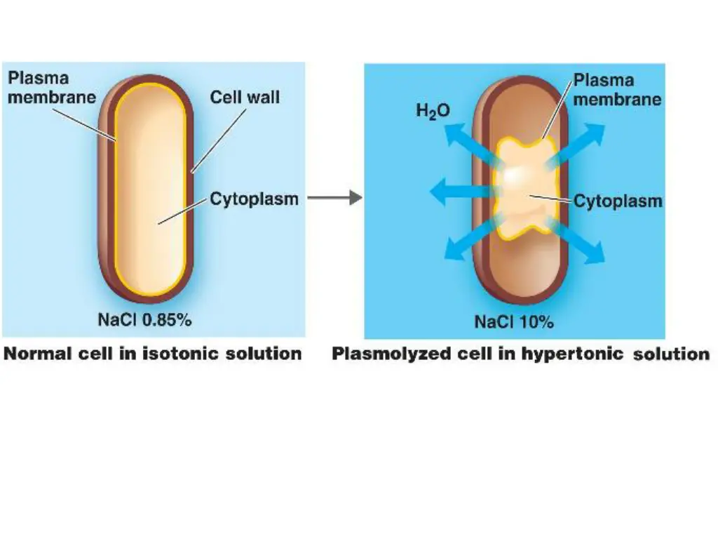 slide13