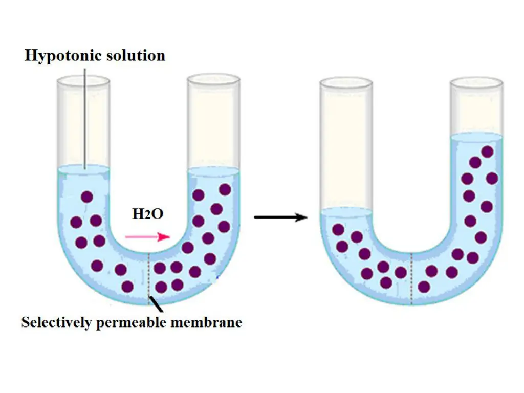 slide8