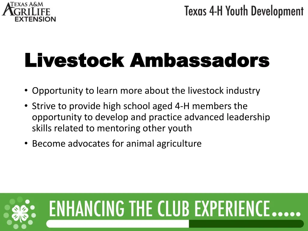 livestock ambassadors livestock ambassadors