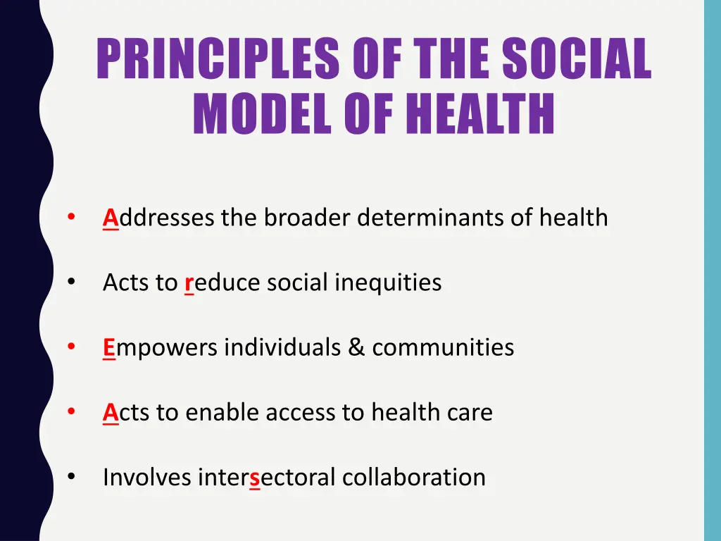 principles of the social model of health
