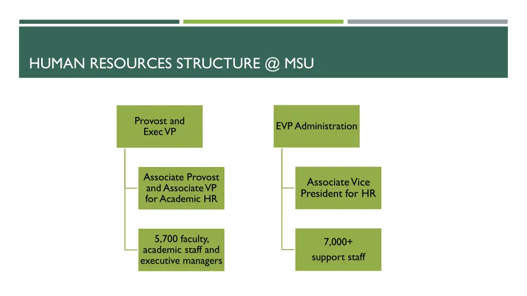 human resources structure @ msu