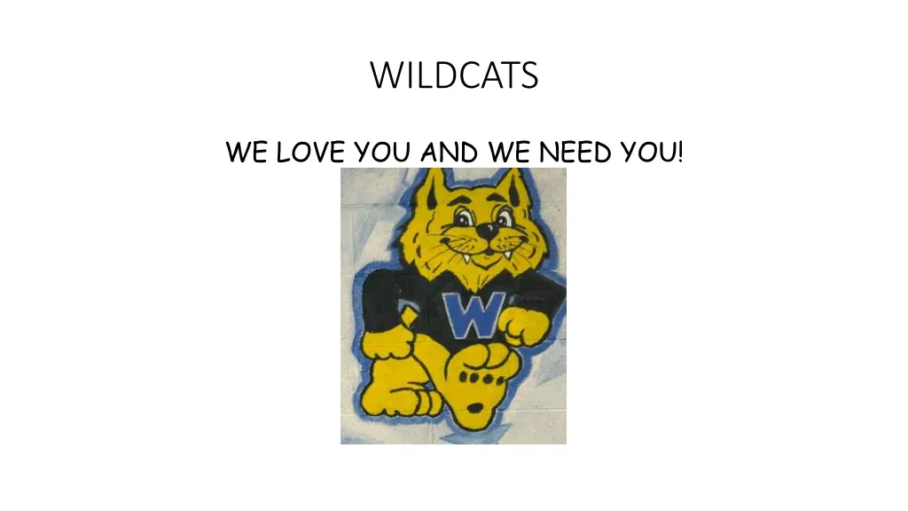 wildcats