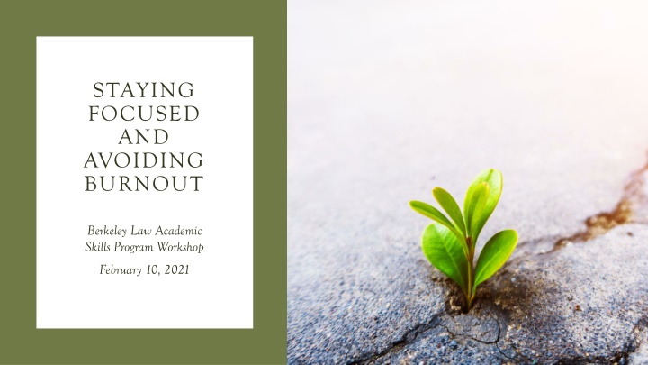 staying focused and avoiding burnout