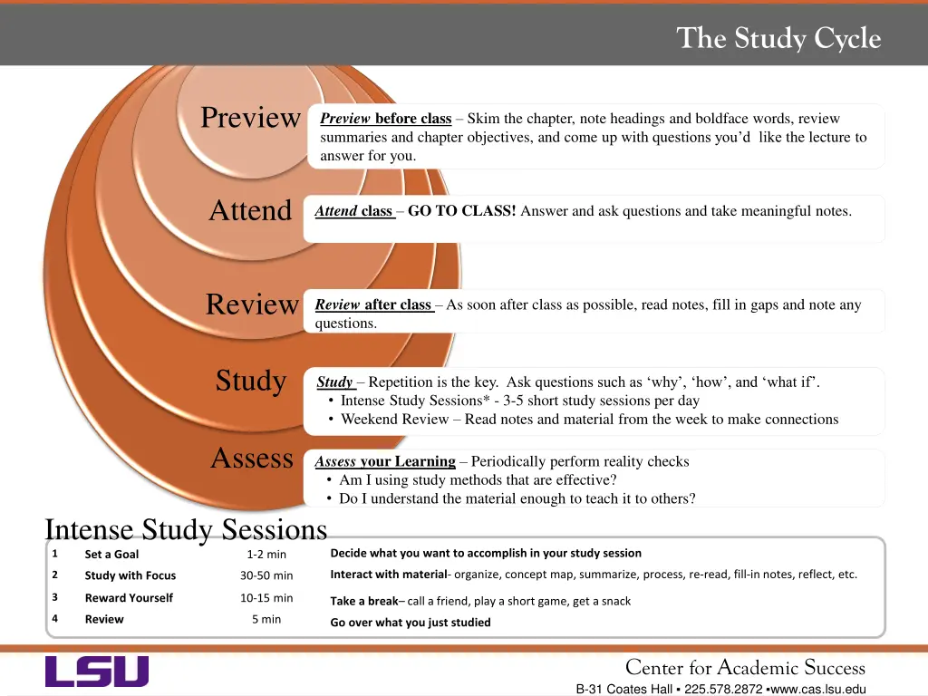 the study cycle