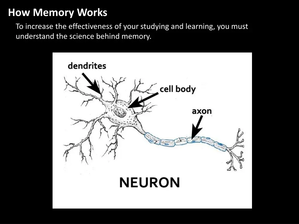 how memory works to increase the effectiveness