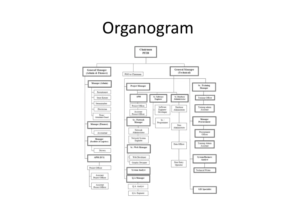 organogram 1