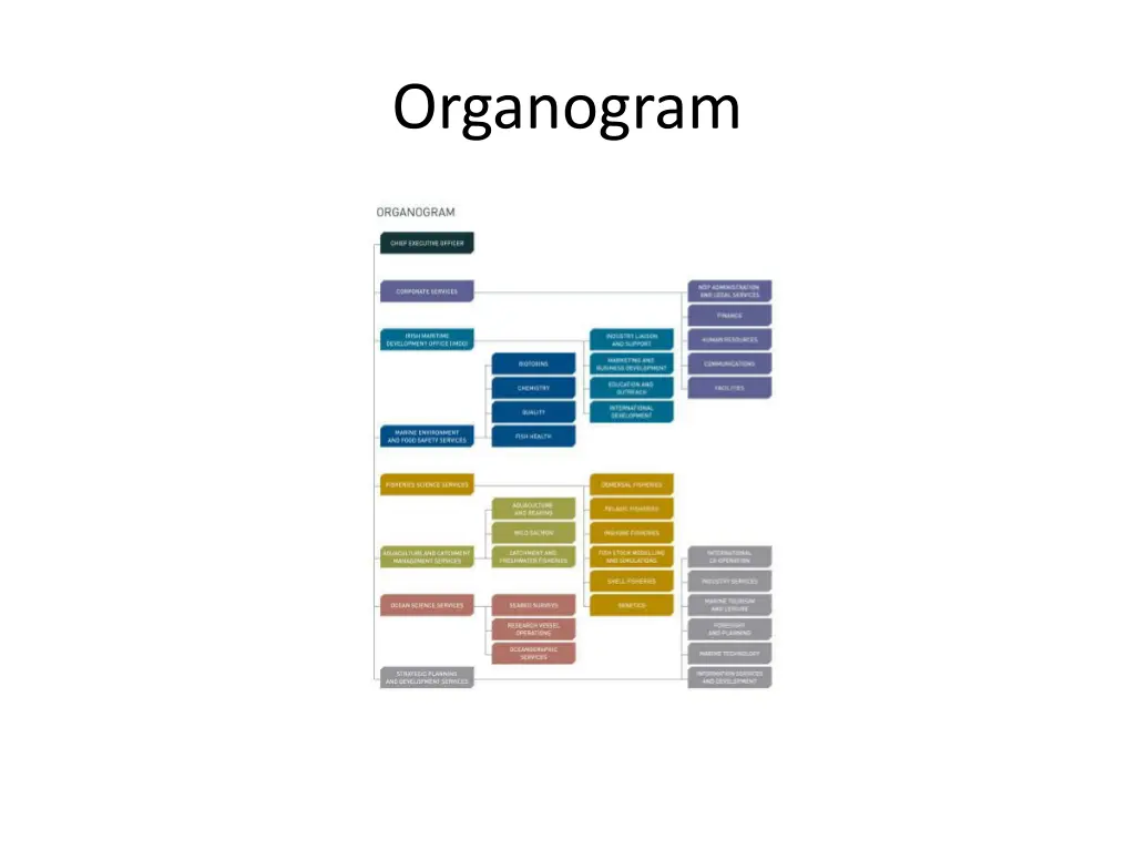 organogram 5