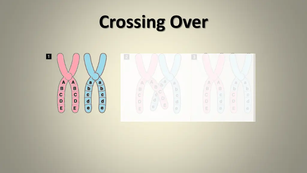 crossing over