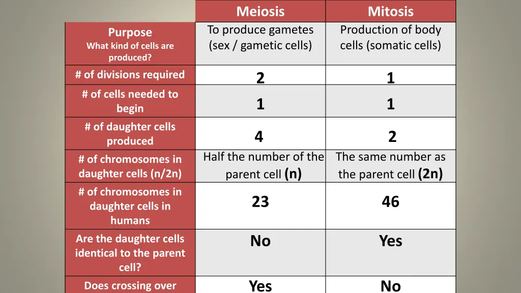meiosis 1