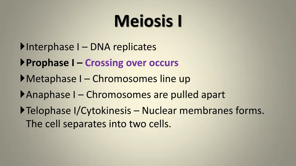 meiosis i