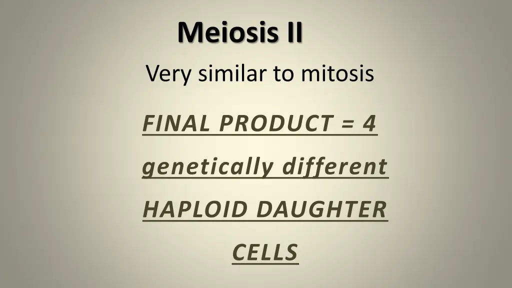 meiosis ii very similar to mitosis