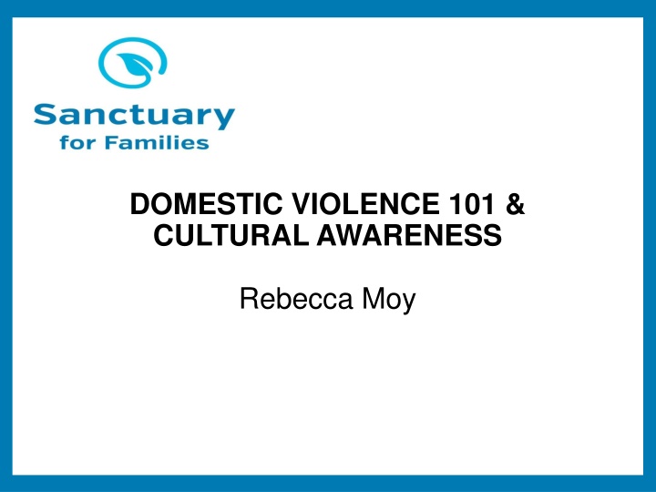 domestic violence 101 cultural awareness