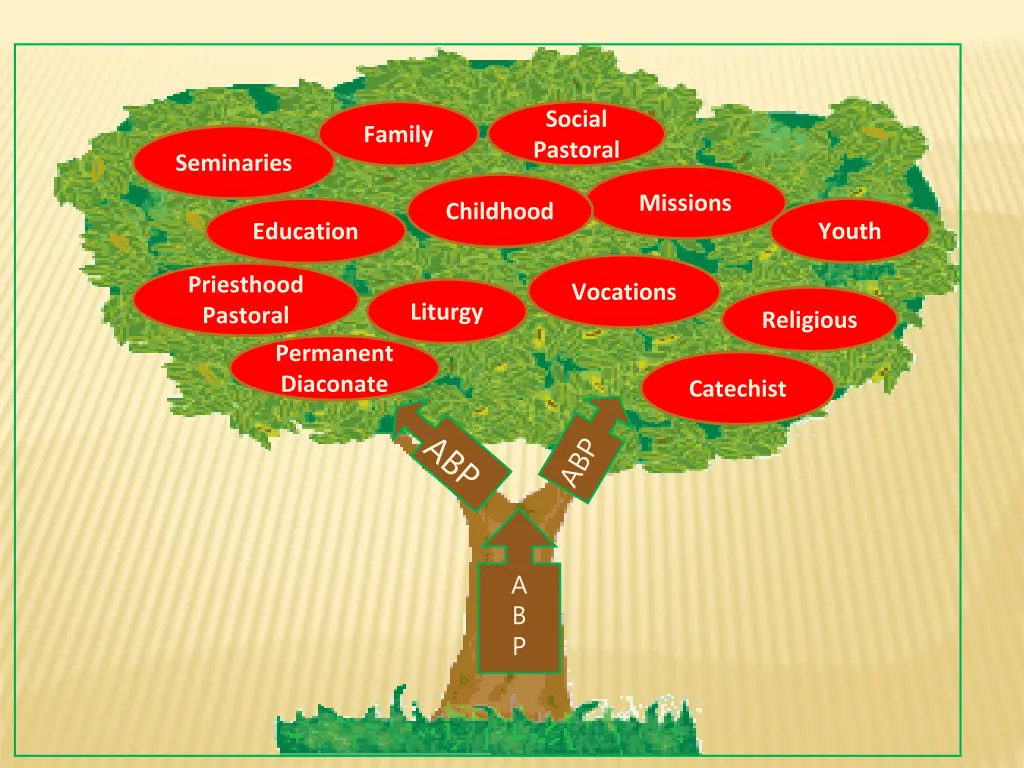 social pastoral 1