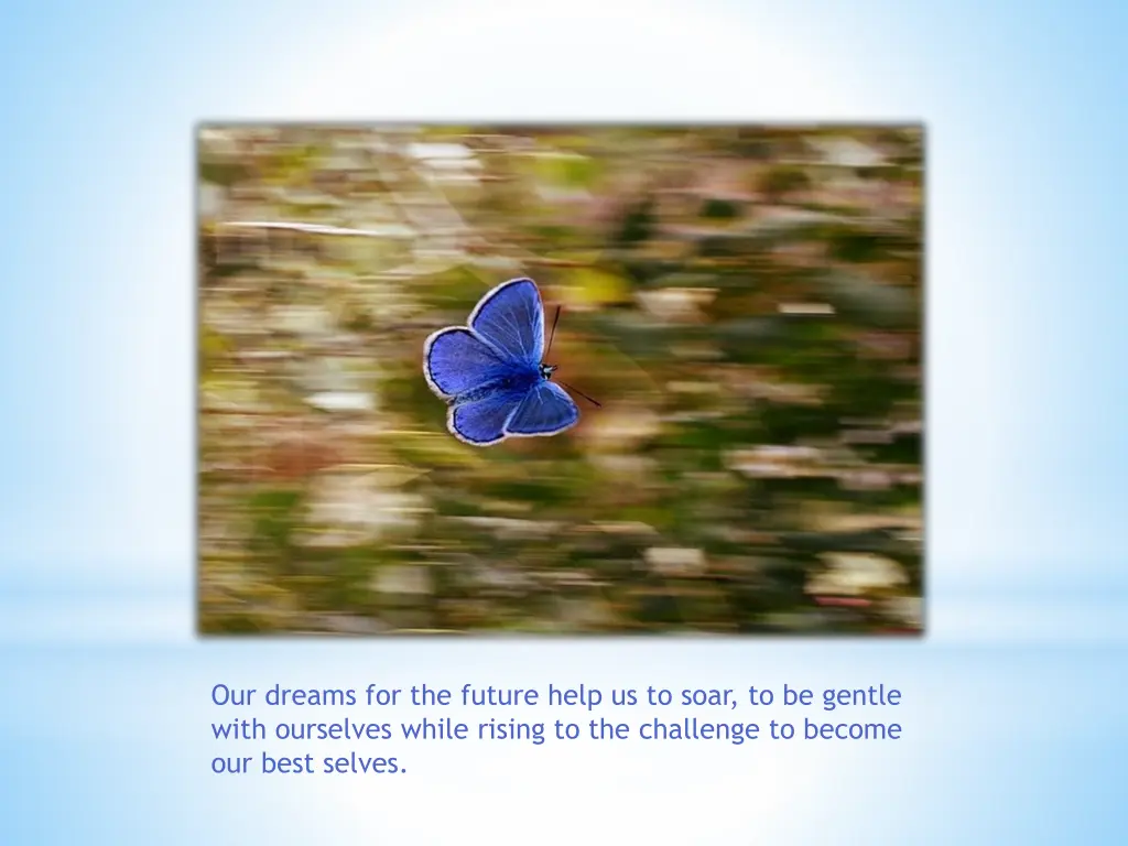 our dreams for the future help us to soar