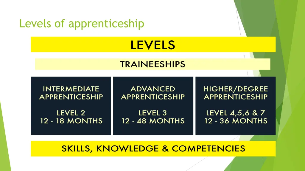levels of apprenticeship
