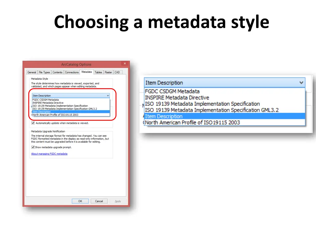 choosing a metadata style 1