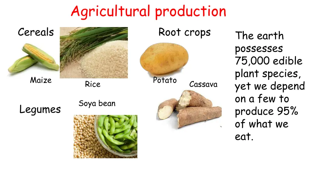agricultural production