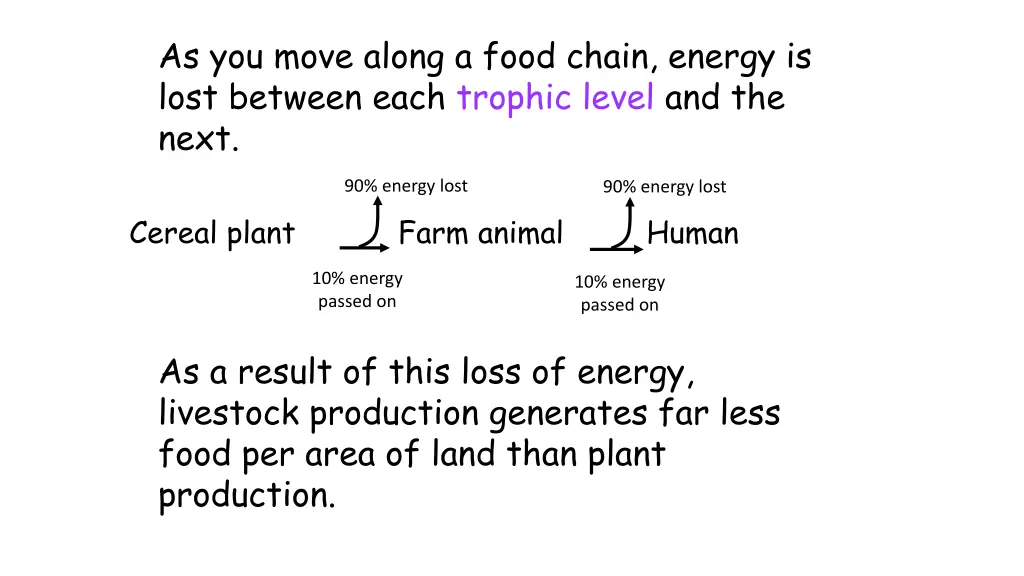 as you move along a food chain energy is lost